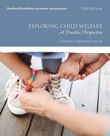 bokomslag Exploring Child Welfare