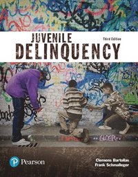 bokomslag Juvenile Delinquency (Justice Series)