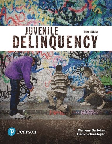bokomslag Juvenile Delinquency (Justice Series)
