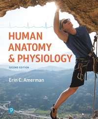 bokomslag Human Anatomy & Physiology