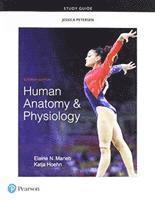bokomslag Study Guide for Human Anatomy & Physiology