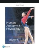 bokomslag Study Guide for Human Anatomy & Physiology