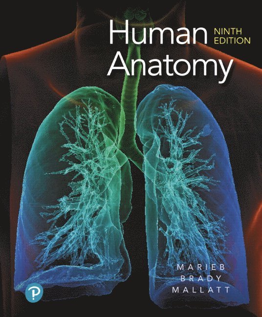 Human Anatomy 1