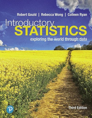 bokomslag Introductory Statistics