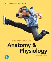bokomslag Essentials of Anatomy & Physiology