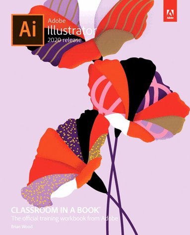 BRIAN WOOD - Adobe Illustrator Classroom in a Book (2020 release), Häftad