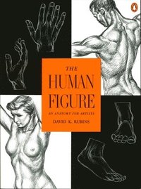 bokomslag The Human Figure