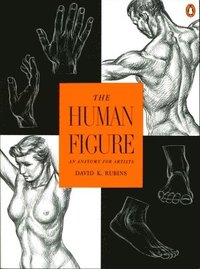 bokomslag The Human Figure: An Anatomy for Artists