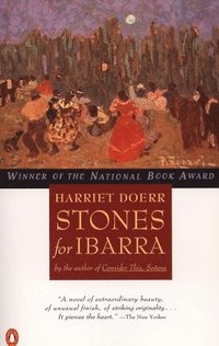 bokomslag Stones for Ibarra