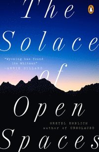 bokomslag The Solace of Open Spaces