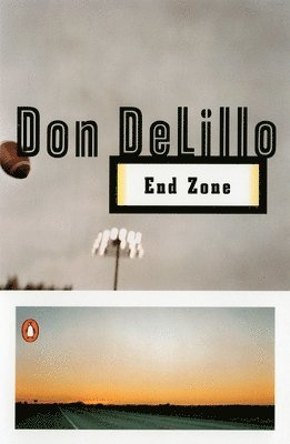 bokomslag Delillo, D: End Zone