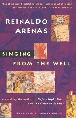 bokomslag Singing from the Well