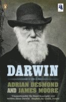 bokomslag Darwin