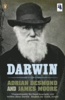 Darwin