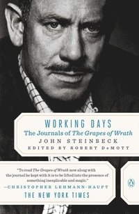 bokomslag Working Days: The Journals of The Grapes of Wrath