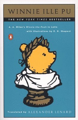 bokomslag Winnie Ille Pu