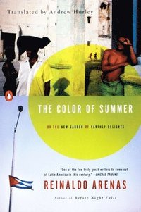 bokomslag Color Of Summer