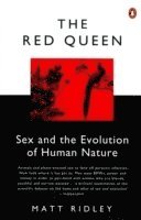 The Red Queen 1