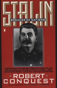 bokomslag Stalin: Breaker of Nations