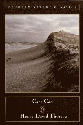 Cape Cod 1