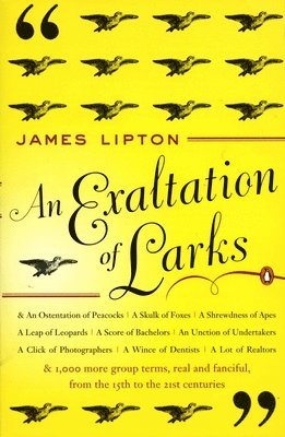 bokomslag Exaltation of Larks