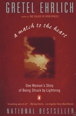 bokomslag A Match to the Heart