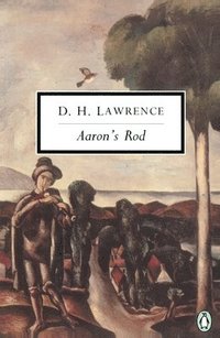 bokomslag Aaron's Rod: Cambridge Lawrence Edition; Revised