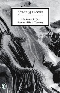 bokomslag The Lime Twig