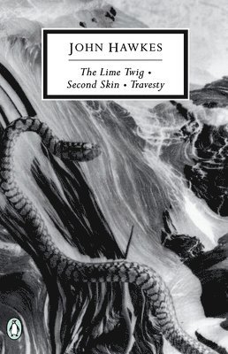 bokomslag The Lime Twig