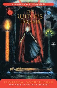 bokomslag The Witch's Dream