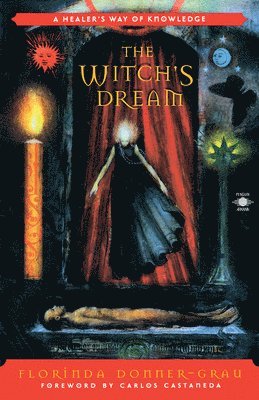 bokomslag The Witch's Dream