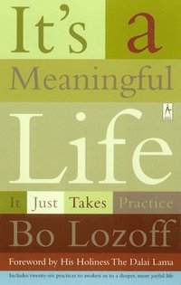 bokomslag IT's a Meaningful Life