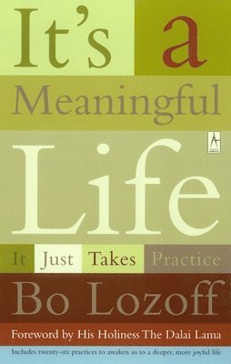 bokomslag IT's a Meaningful Life