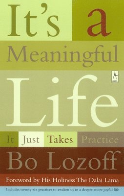 It's A Meaningful Life 1