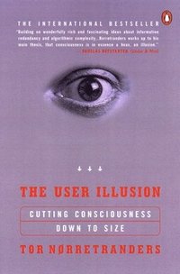 bokomslag User Illusion