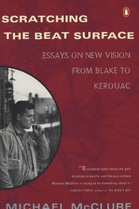 bokomslag Scratching the Beat Surface