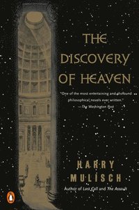 bokomslag The Discovery of Heaven