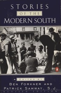 bokomslag Stories of the Modern South
