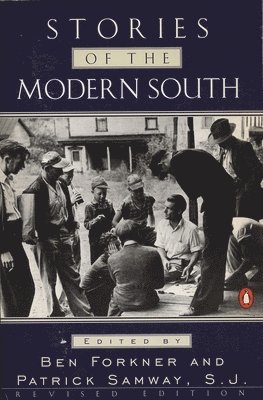 bokomslag Stories of the Modern South: Revised Edition
