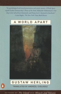 bokomslag A World Apart