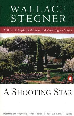Wallace Stegner - A Shooting Star, Häftad
