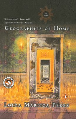 bokomslag Geographies of Home