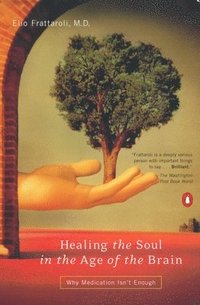 bokomslag Healing the Soul in the Decade of the Brain