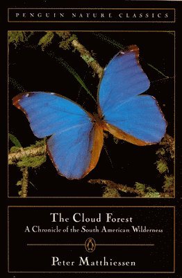 bokomslag Cloud Forest