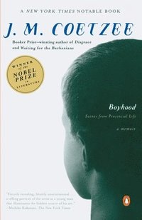 bokomslag Boyhood: Scenes from Provincial Life