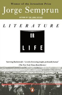 bokomslag Literature Or Life