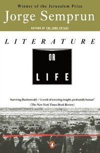 bokomslag Literature or Life