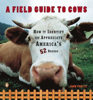 A Field Guide to Cows 1