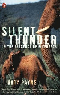 bokomslag Silent Thunder