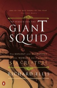 bokomslag The Search for the Giant Squid: The Biology and Mythology of the World's Most Elusive Sea Creature
